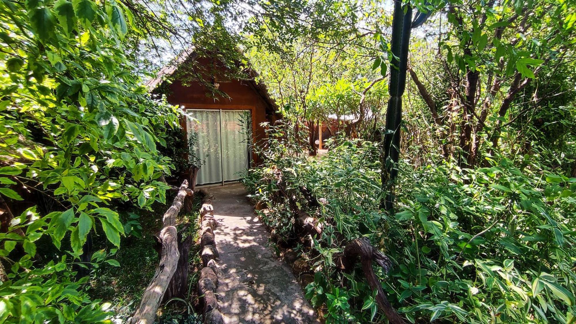 Elephant Trail Guesthouse And Backpackers Kasane Eksteriør bilde