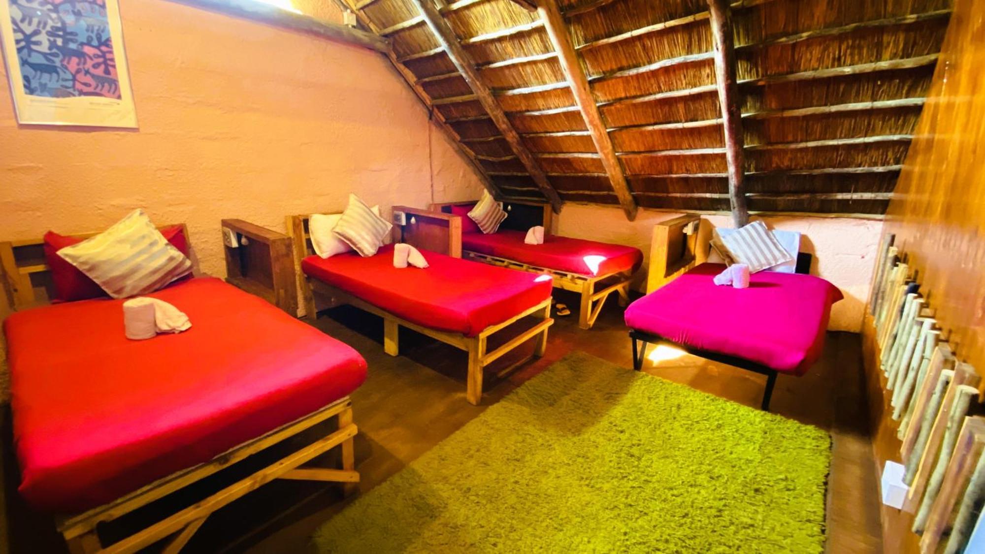 Elephant Trail Guesthouse And Backpackers Kasane Rom bilde