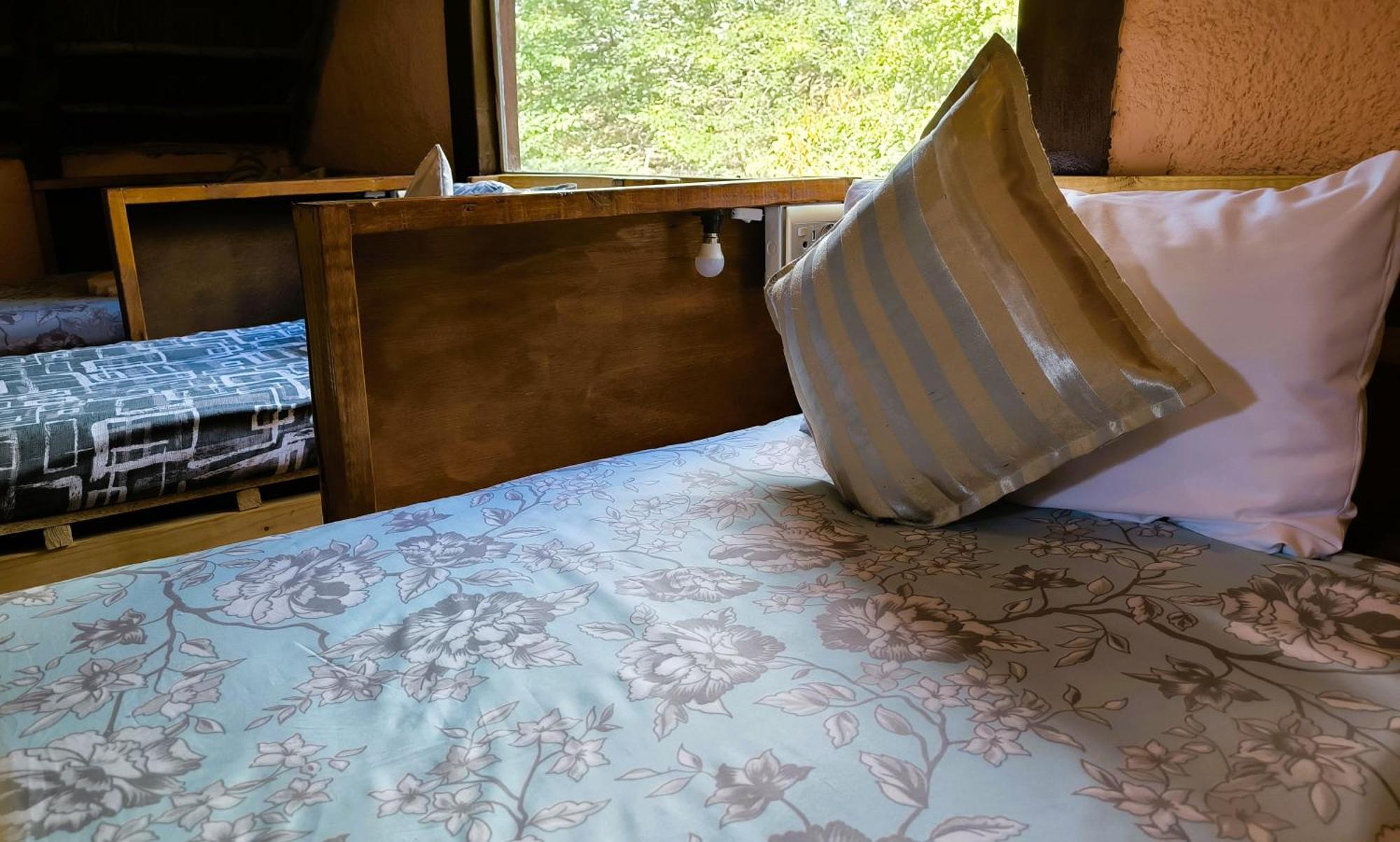 Elephant Trail Guesthouse And Backpackers Kasane Rom bilde