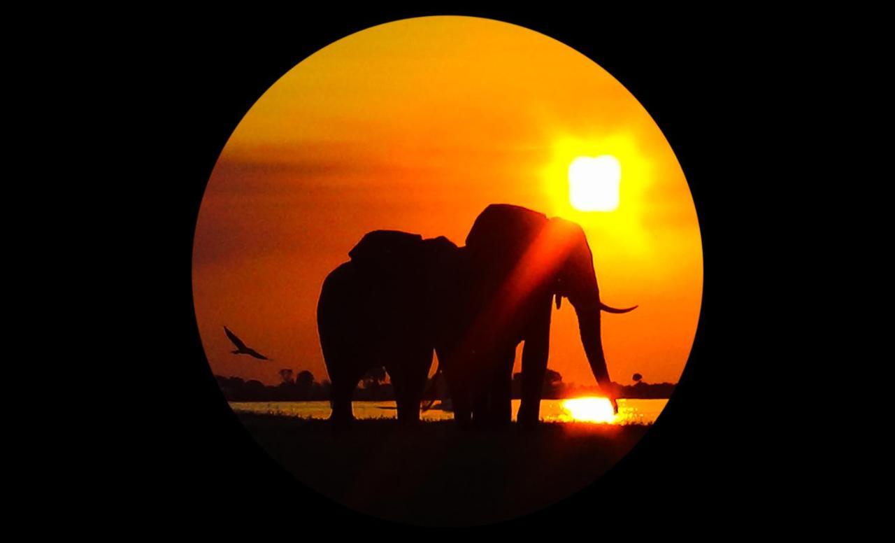 Elephant Trail Guesthouse And Backpackers Kasane Eksteriør bilde